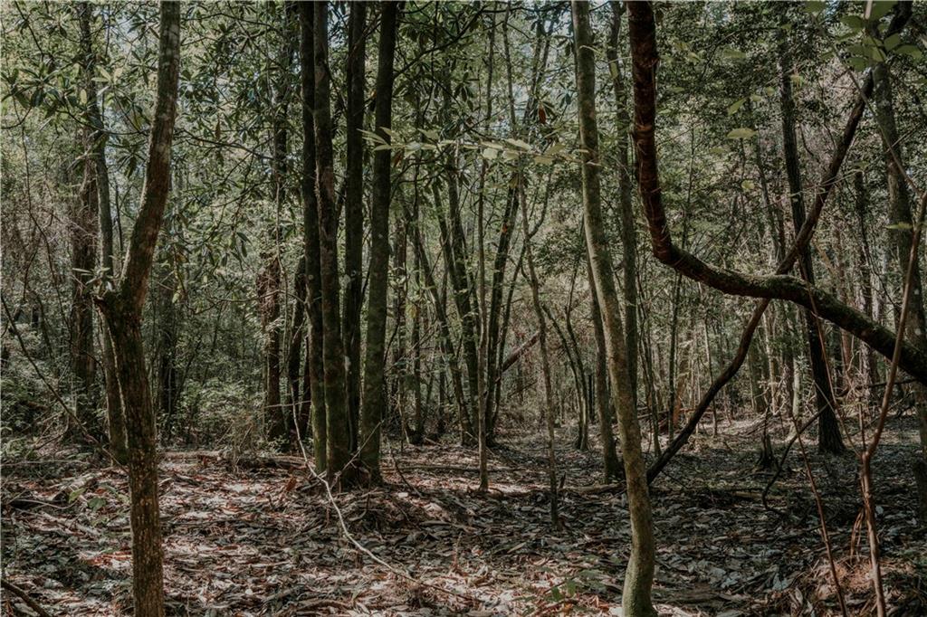 HWY. 1083 (BEN WILLIAMS RD.) Highway