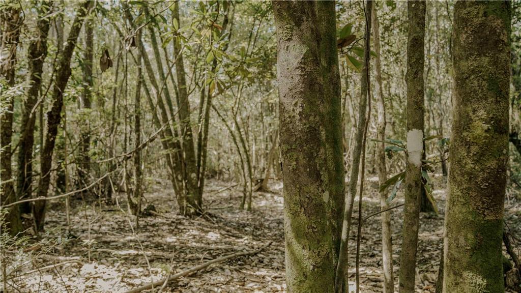 HWY. 1083 (BEN WILLIAMS RD.) Highway