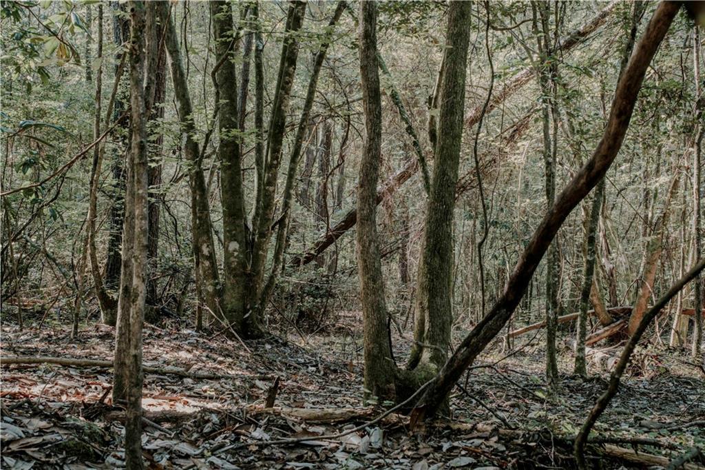 HWY. 1083 (BEN WILLIAMS RD.) Highway