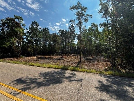 I-59, PEARL RIVER, LA 70452 - Image 08eaaf14f2fd9a2cc9721f250cd23704/3976220305
