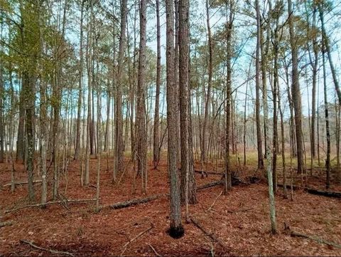 Lot 4-C HORSESHOE ROAD NORTH Independence LA 70443