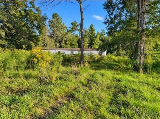 13185 MILEY NIQUIPORO LN, TICKFAW, LA 70466 - Image 097a1f403e4c5cd63aebb6939c38d60a/2301233618