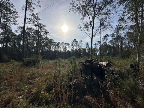 22116 NOLAN Road Covington LA 70435