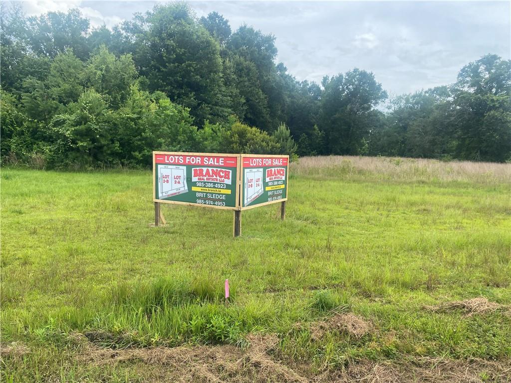 Photo 1 of 2 — E US-190, Hammond, LA 70401