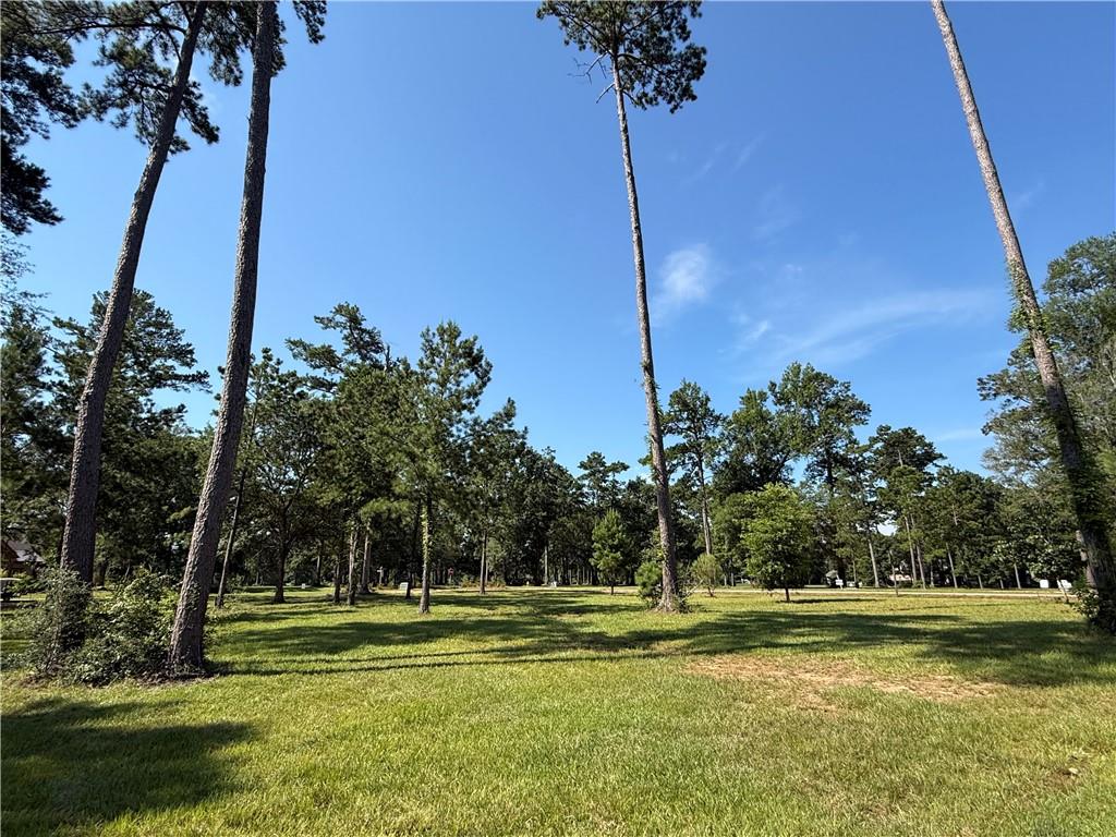 133 CHINAWOOD Drive