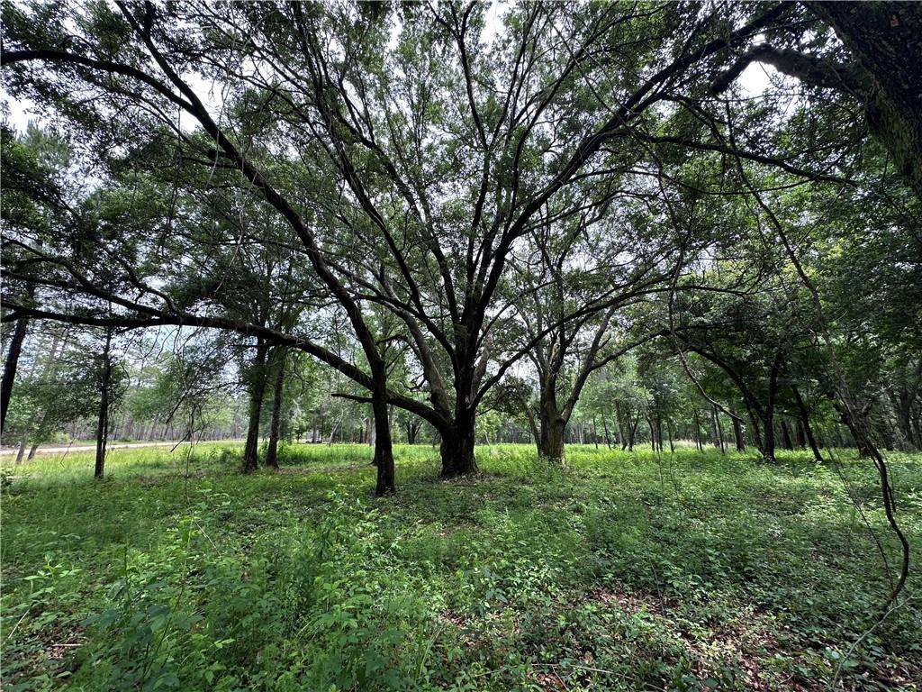 27816 HIGHWAY 435 Highway