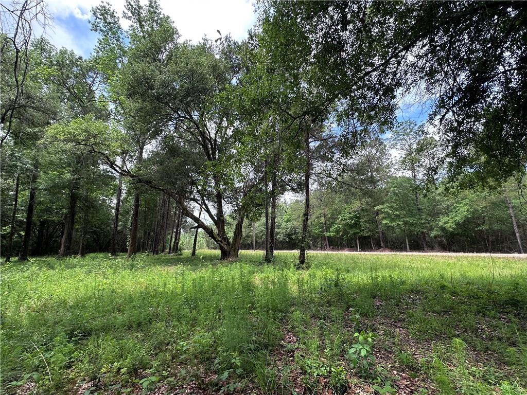 27816 HIGHWAY 435 Highway