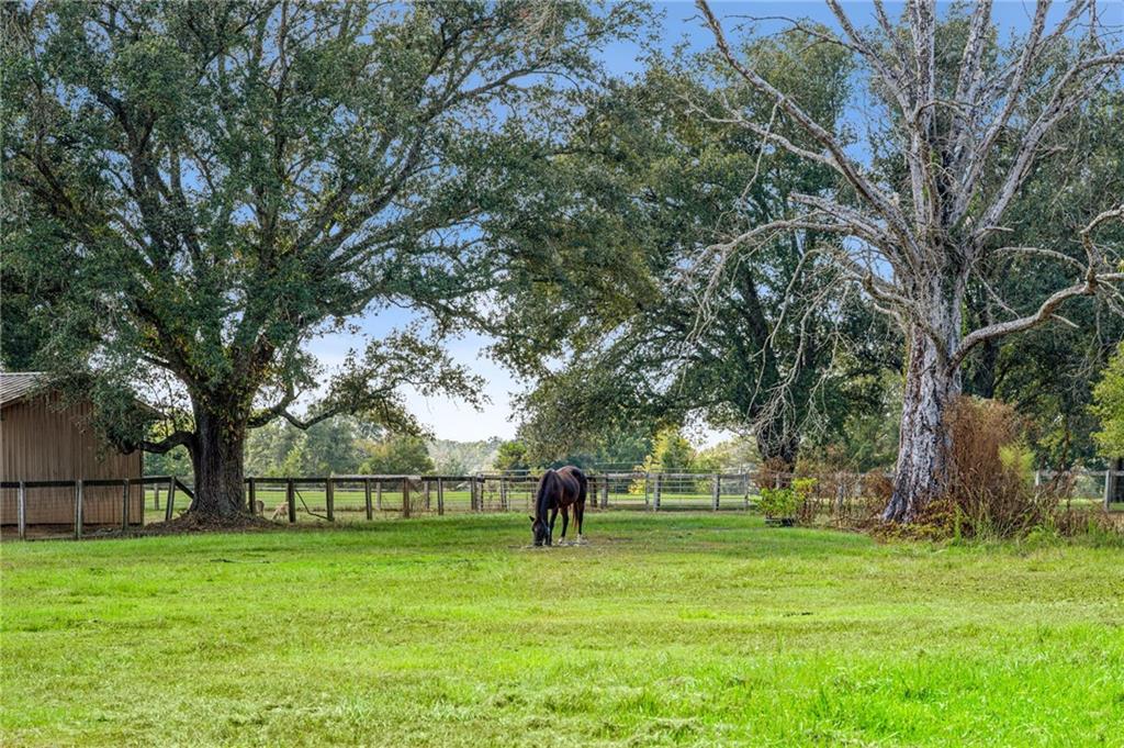 79071 OLD MILITARY Road