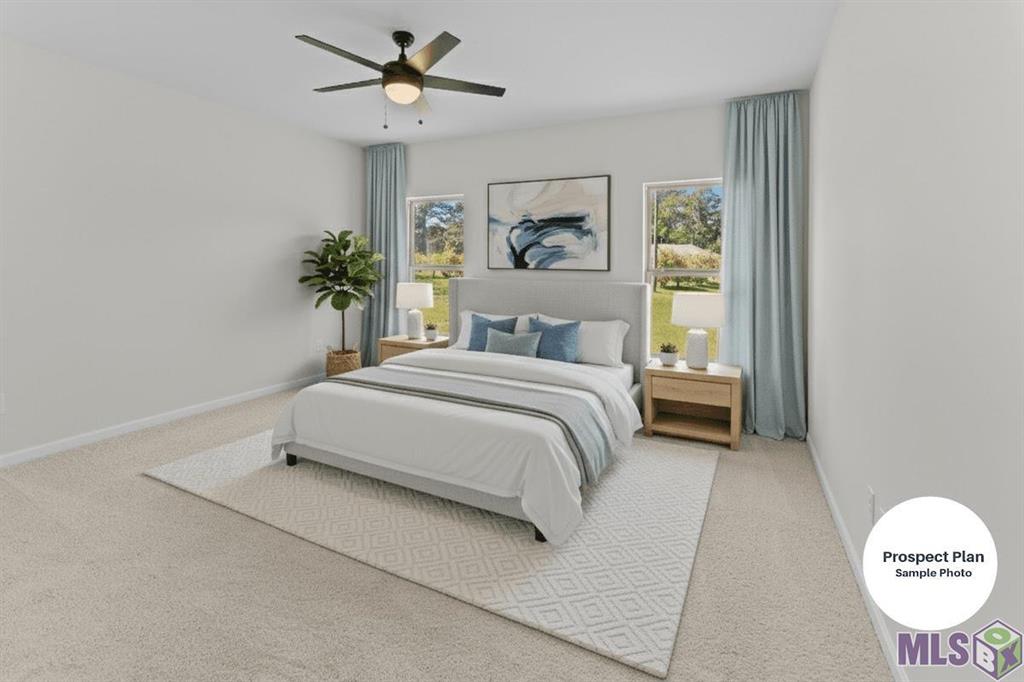 23117 Serengeti Drive