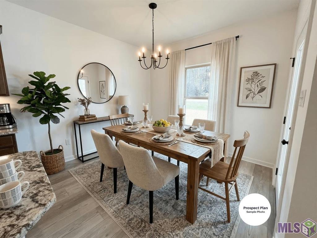 23117 Serengeti Drive