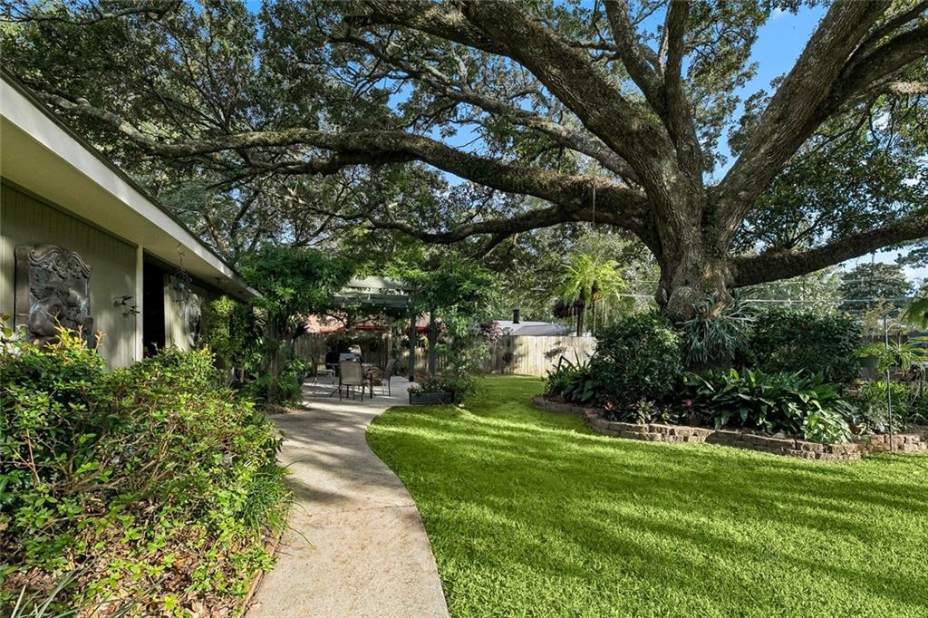 119 OAK Drive
