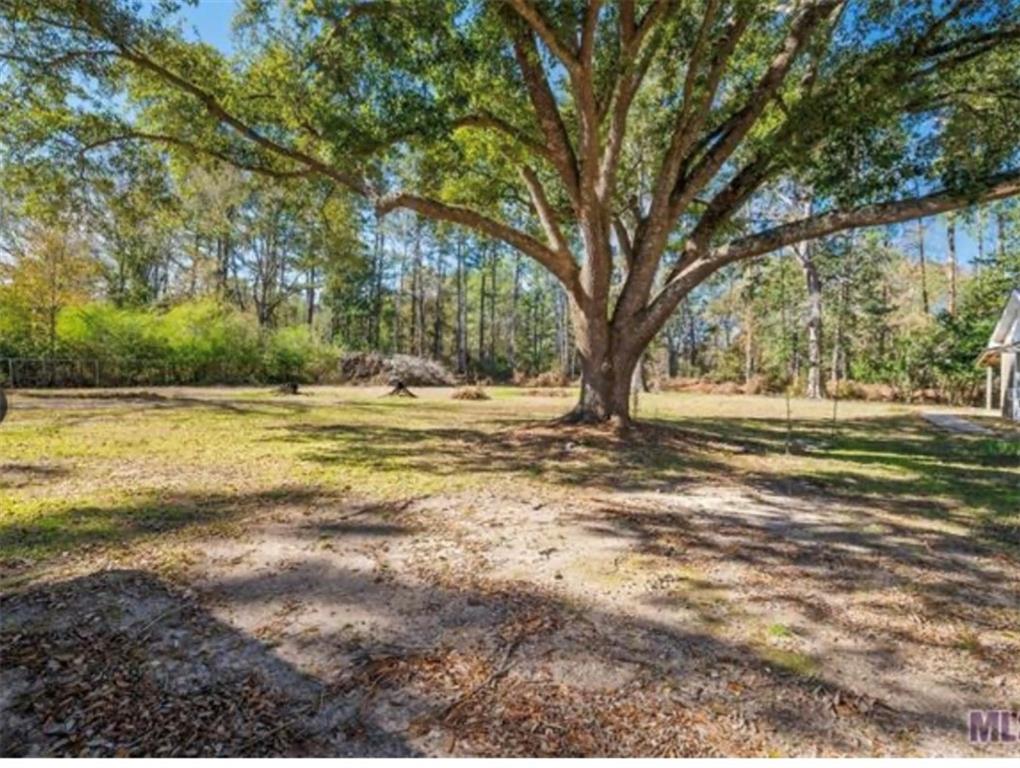 Hammond, Louisiana 70401, United States, 3 Bedrooms Bedrooms, ,2 BathroomsBathrooms,Residential,Active,232884