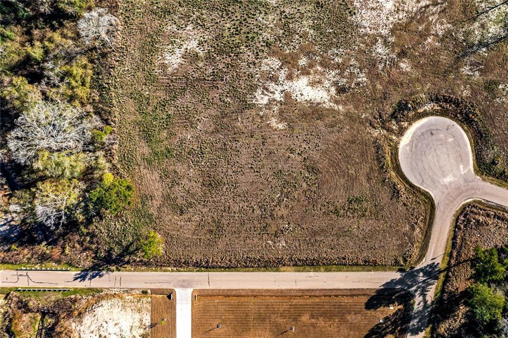 12580 GOLDENTOP Drive