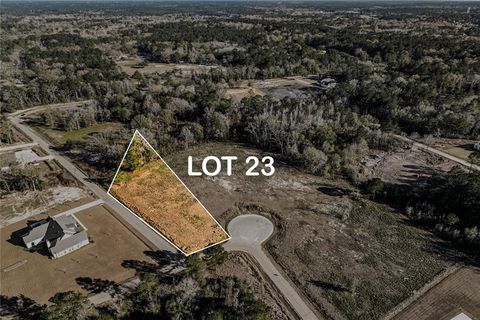 12580 GOLDENTOP Drive Covington LA 70433