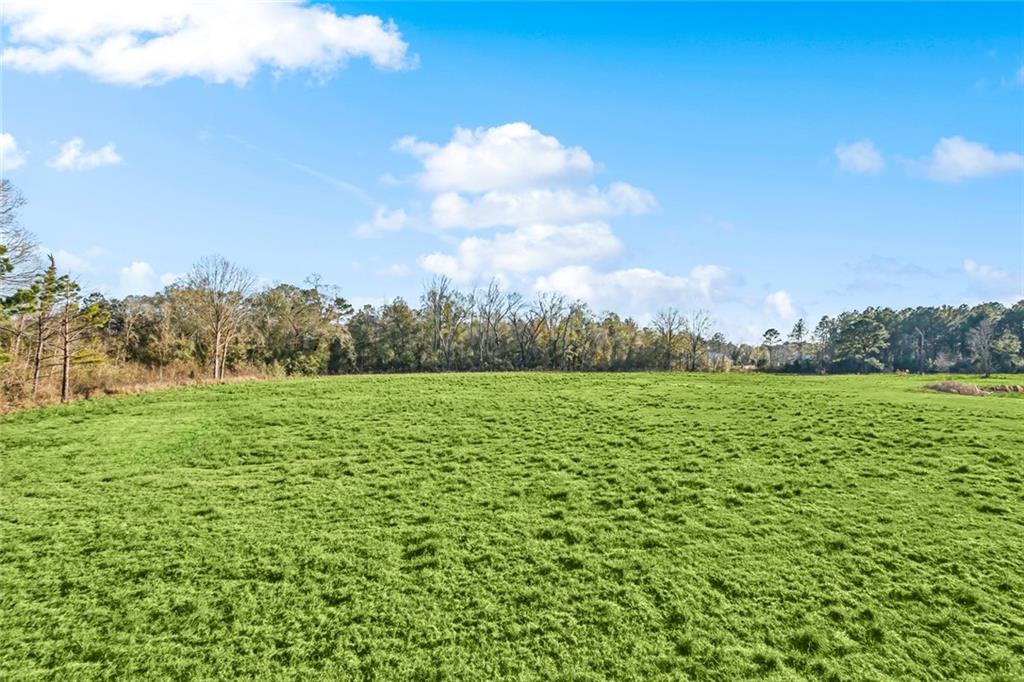 12580 GOLDENTOP Drive