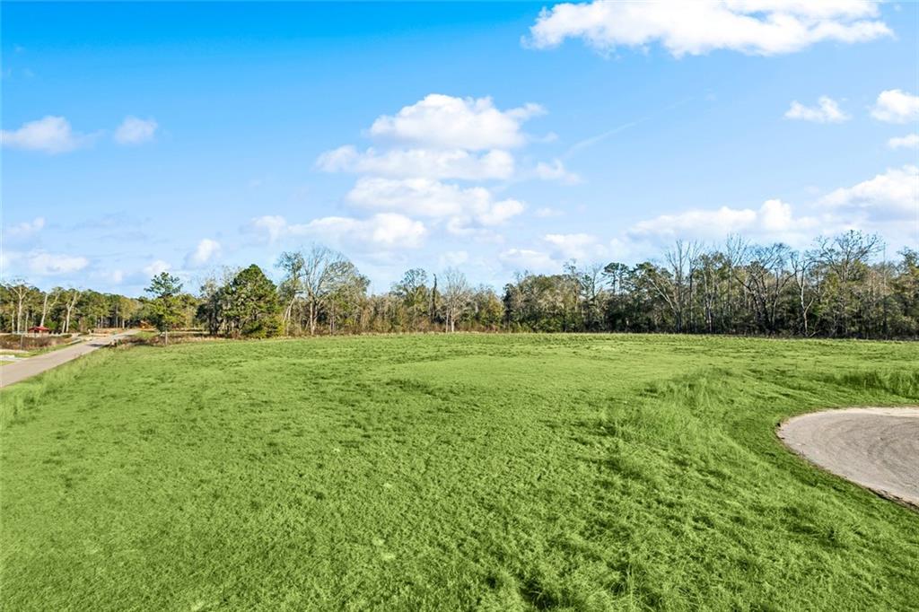 12580 GOLDENTOP Drive