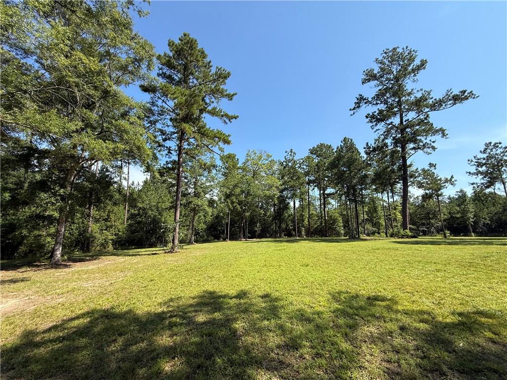 2748 SHADE TREE Court