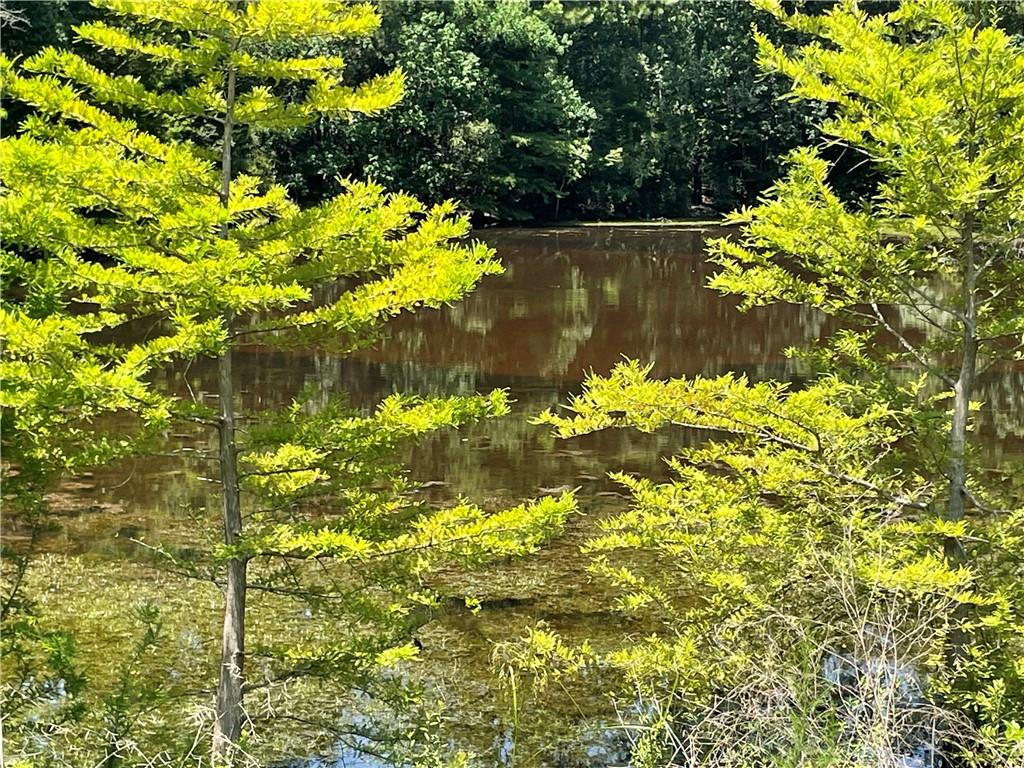 Bush, Louisiana 70431, United States, ,Land,Pending,165837