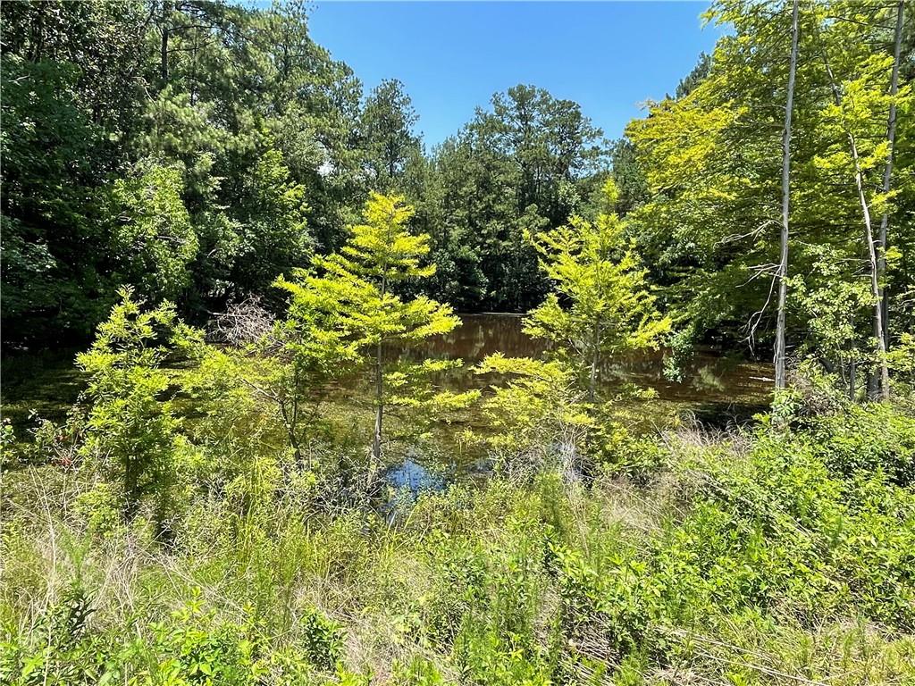 Bush, Louisiana 70431, United States, ,Land,Pending,165837