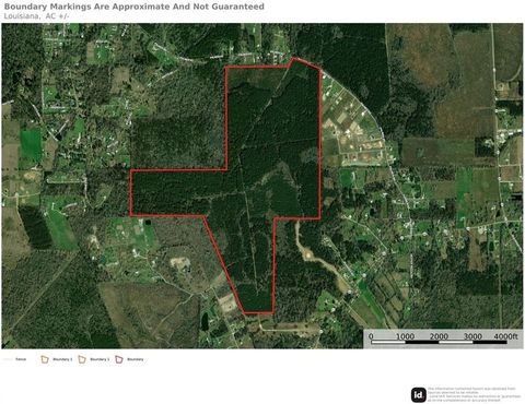 420 Acres PALMER Road Livingston LA 70754
