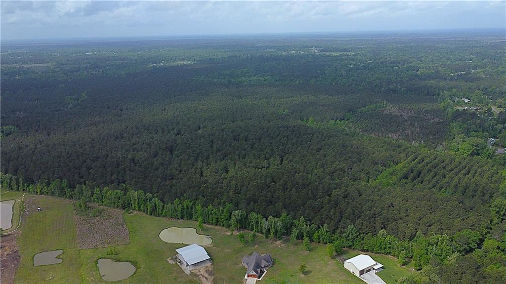 420 Acres PALMER Road