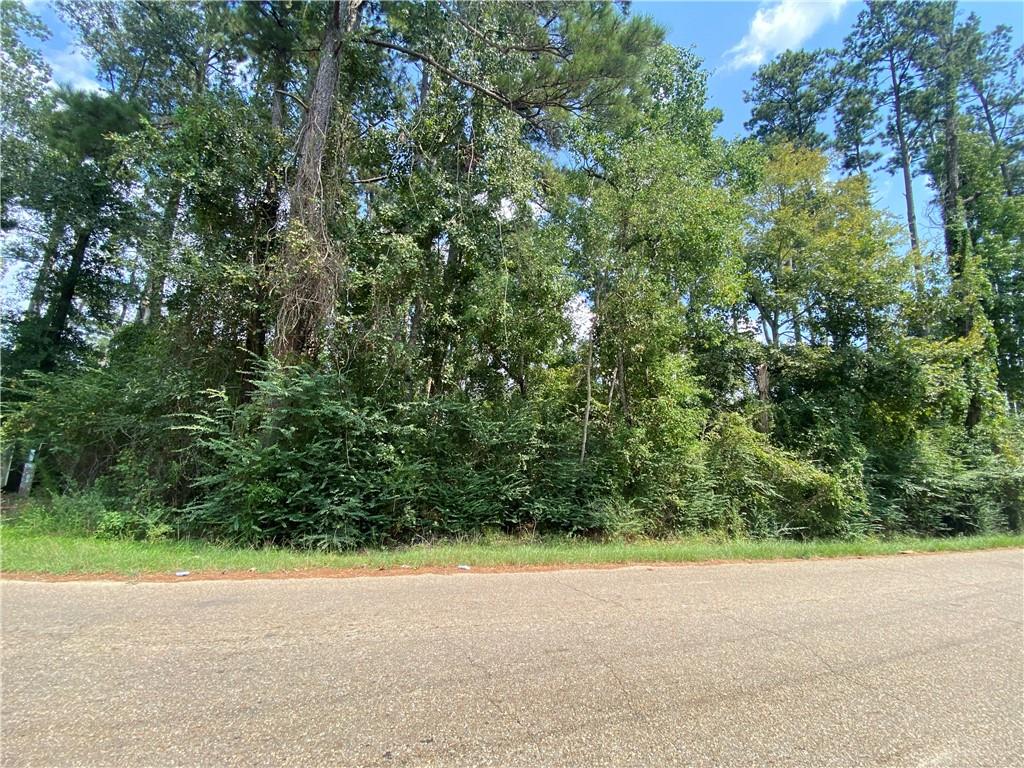 TBD LEONARD CHAPEL Road
