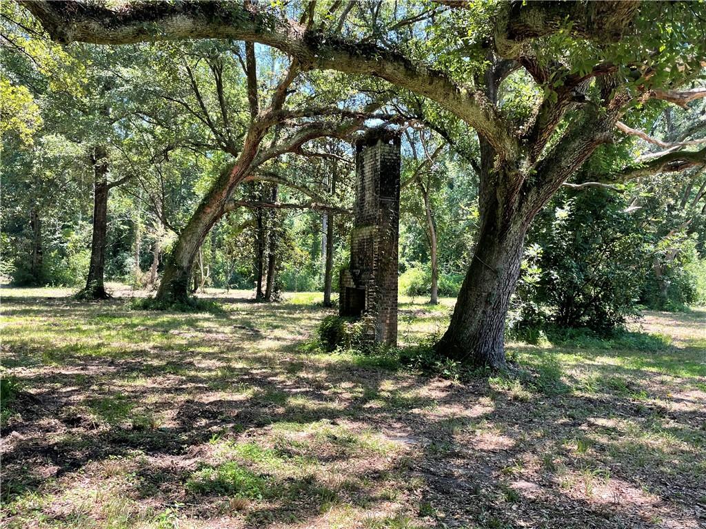 Bush, Louisiana 70431, United States, ,Land,Active,53782