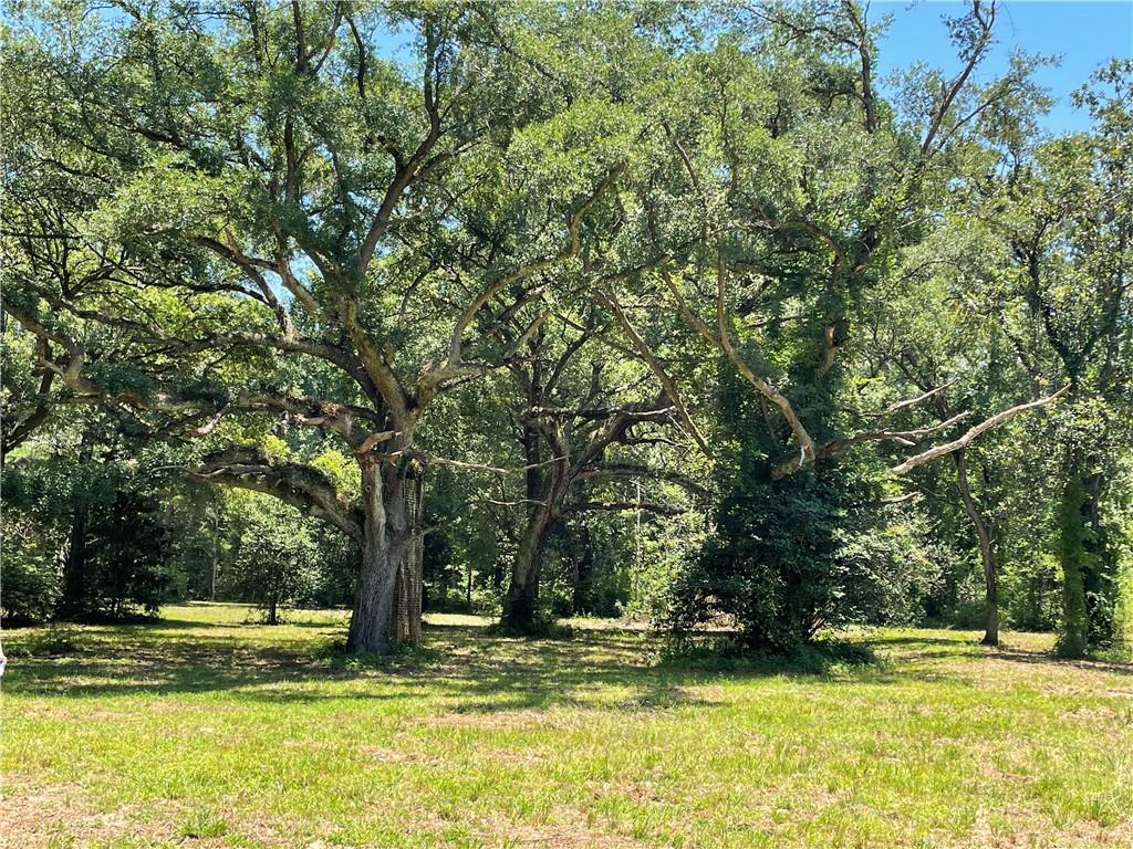 Bush, Louisiana 70431, United States, ,Land,Active,53782