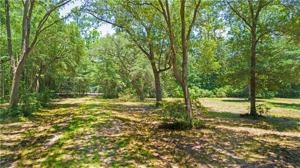 Bush, Louisiana 70431, United States, ,Land,Active,53782