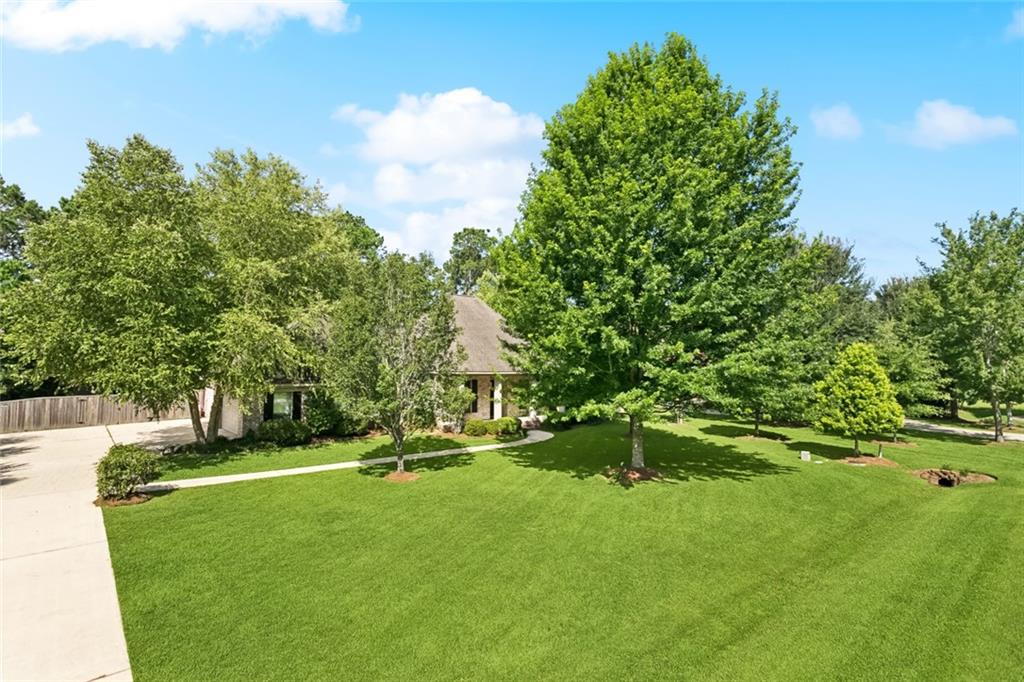 217 SAP BERRY Drive