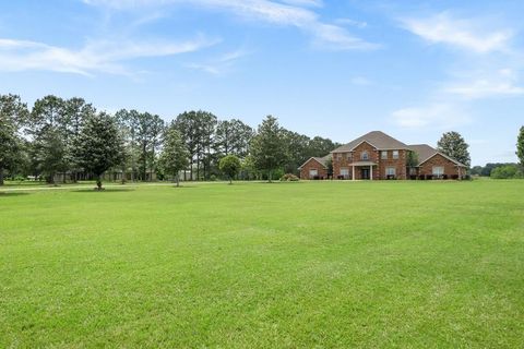 81 Anastasia Drive, Carriere, MS 39426 - #: 2447931