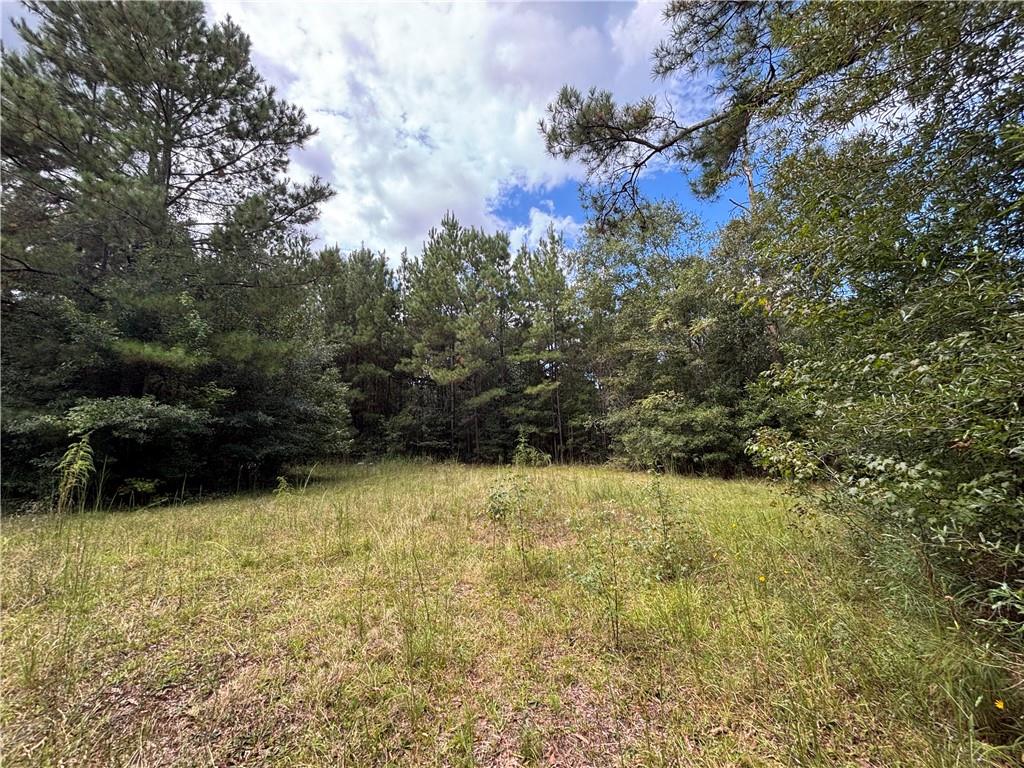 12793 MIZELL Loop
