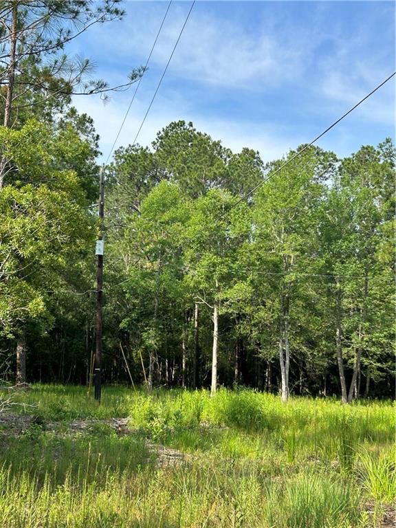 Lacombe, Louisiana 70445, United States, ,Land,Active,78372