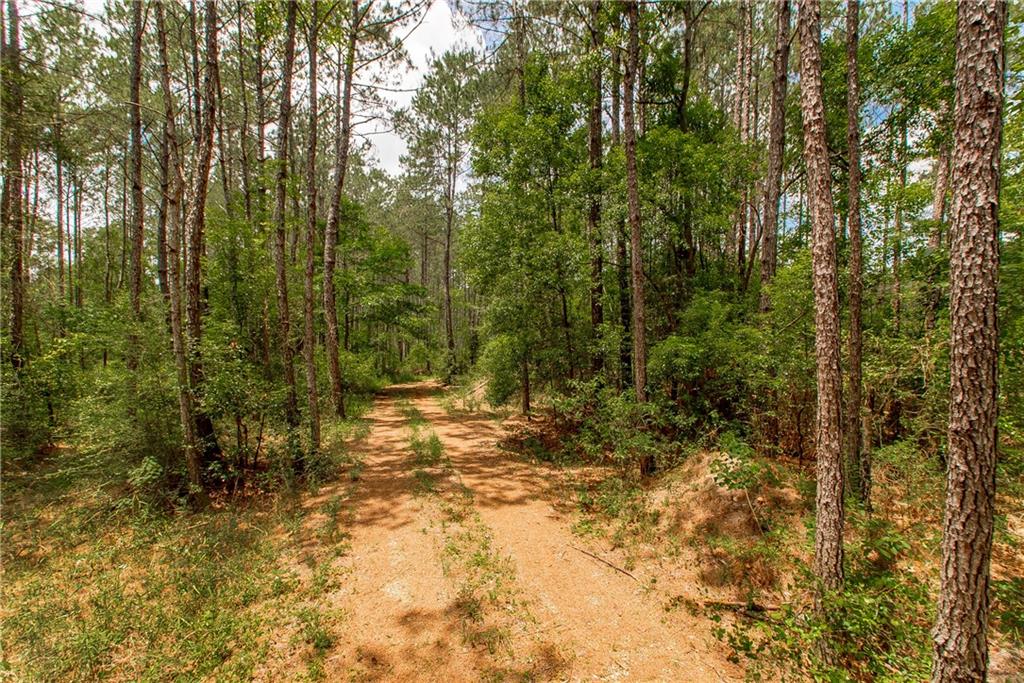 76317 BOB LEVY Road