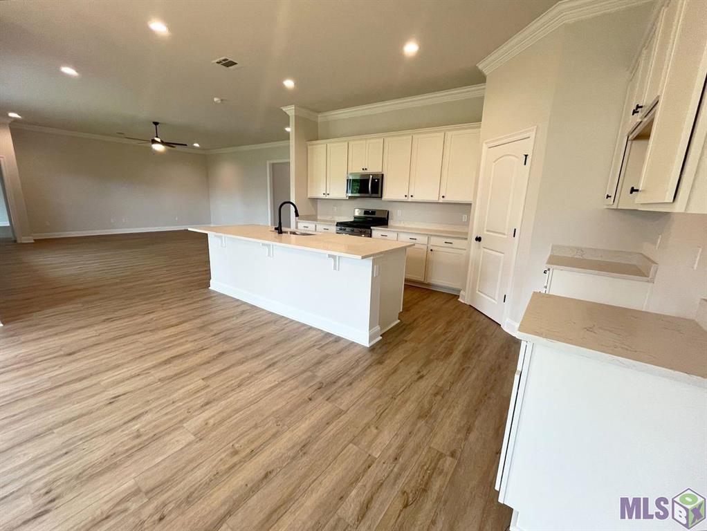 133 Olivia Drive