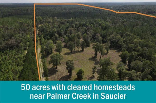 14481 E WORTHAM RD, SAUCIER, MS 39574 - Image 2a6c6d6460d4801a20ba43f52d714be5/671235888