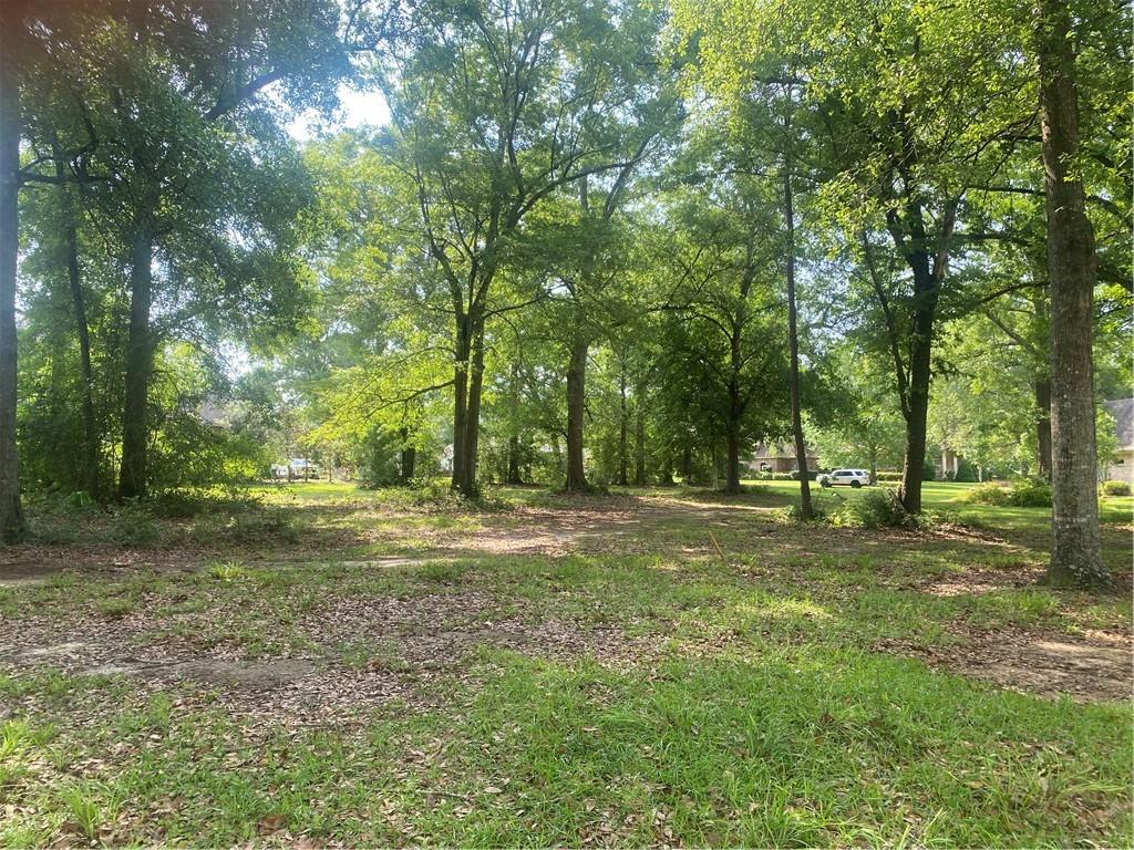 TRAILHEAD Drive