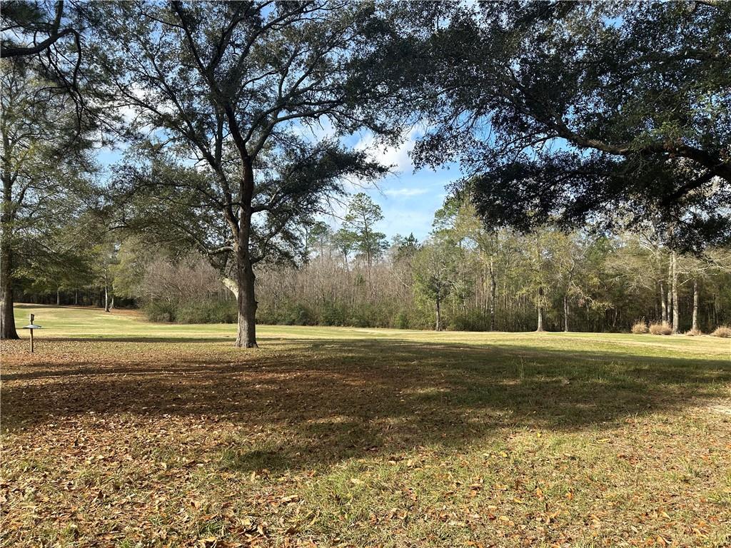 TRAILHEAD Drive
