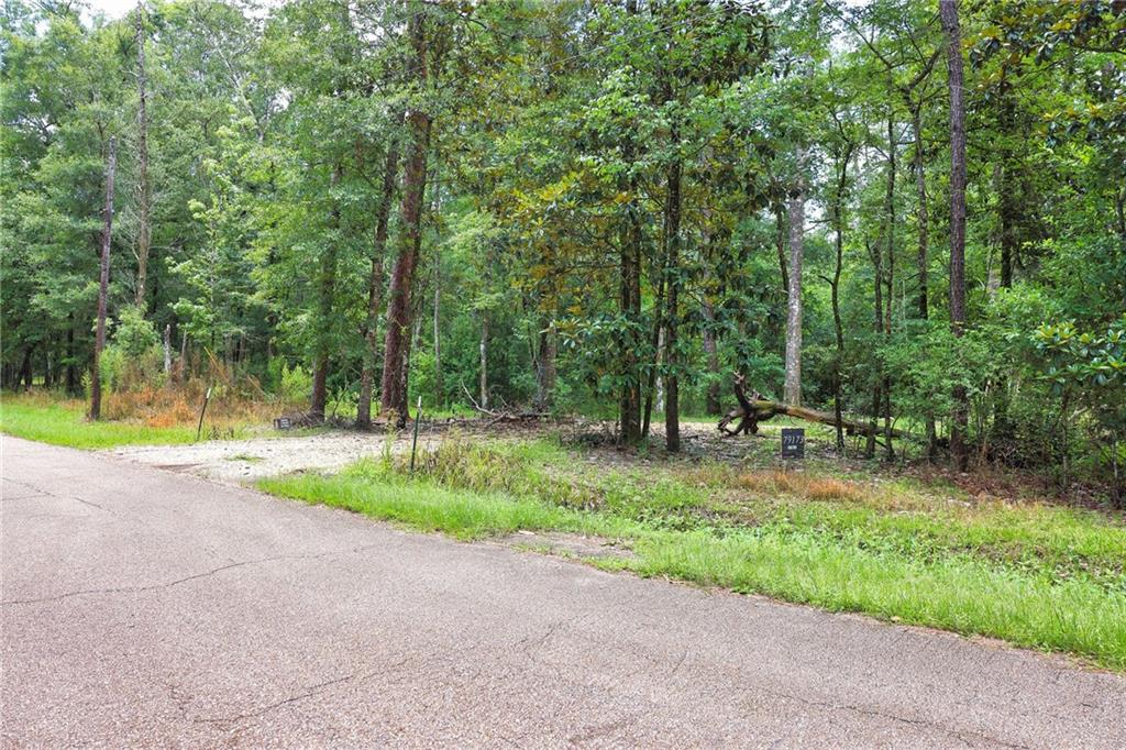 Folsom, Louisiana 70437, United States, ,Land,Pending,51574