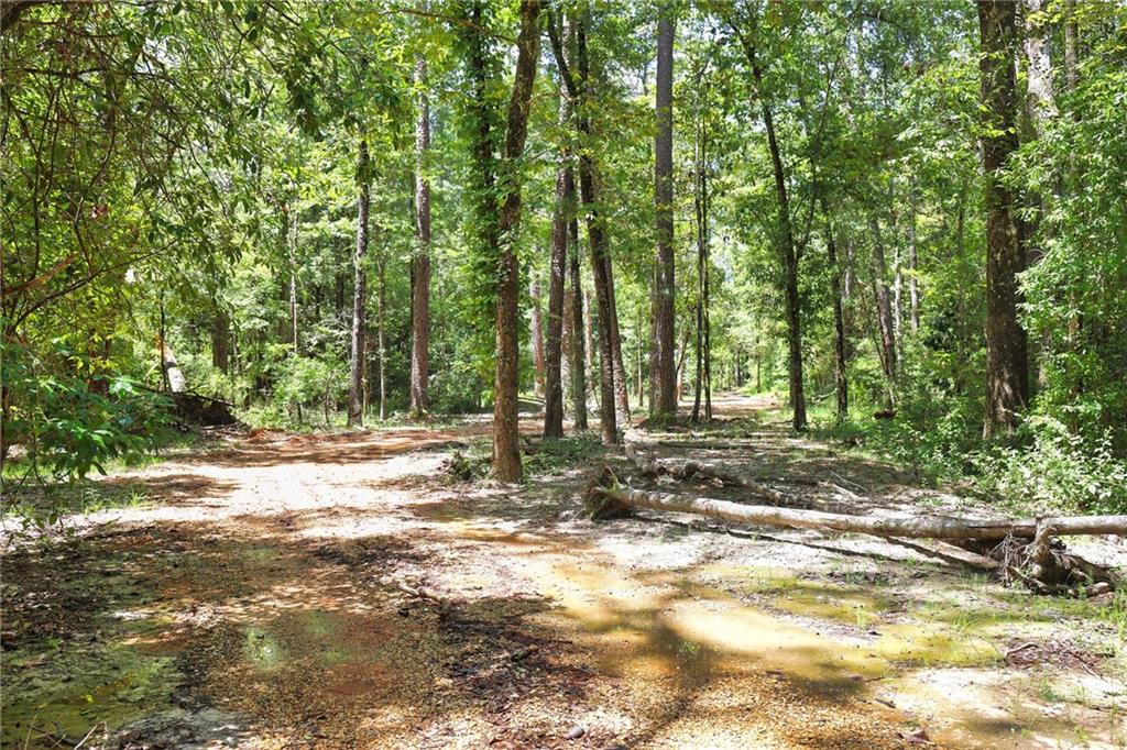 Folsom, Louisiana 70437, United States, ,Land,Pending,51574