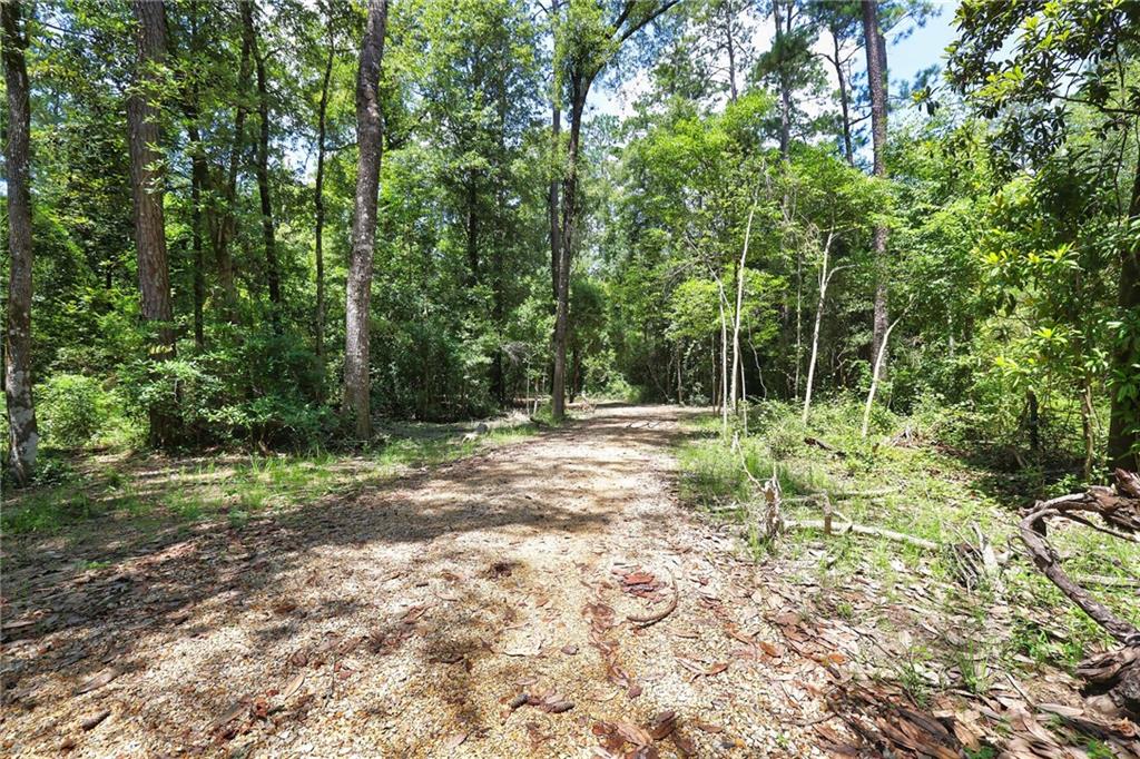 Folsom, Louisiana 70437, United States, ,Land,Pending,51574