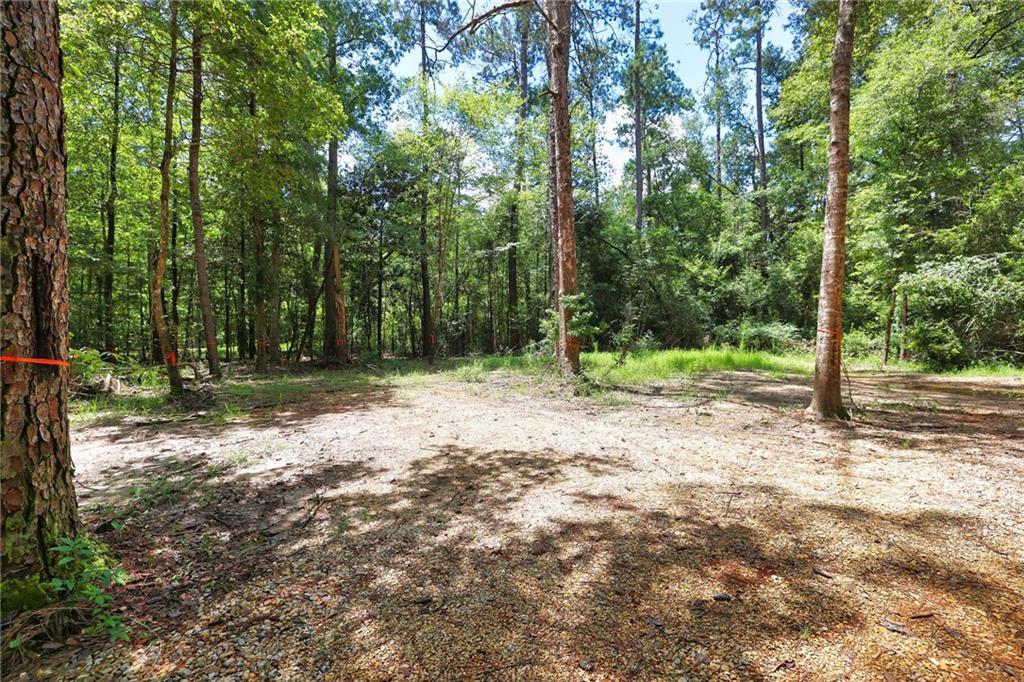 Folsom, Louisiana 70437, United States, ,Land,Pending,51574