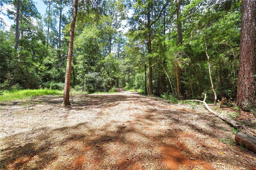Folsom, Louisiana 70437, United States, ,Land,Pending,51574