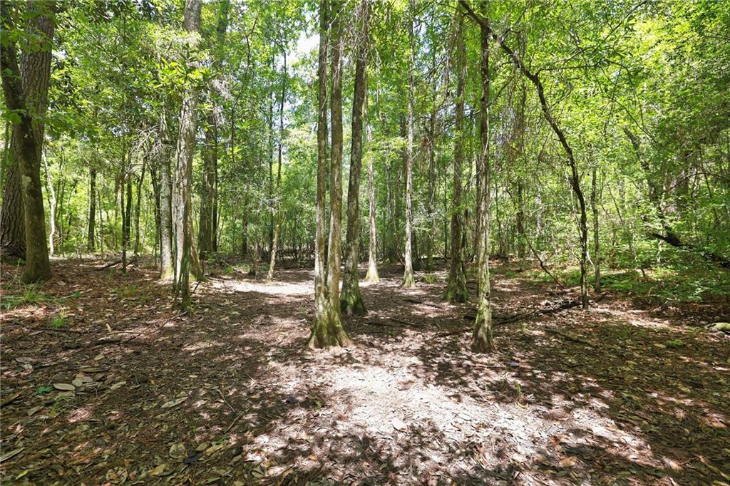 Folsom, Louisiana 70437, United States, ,Land,Pending,51574