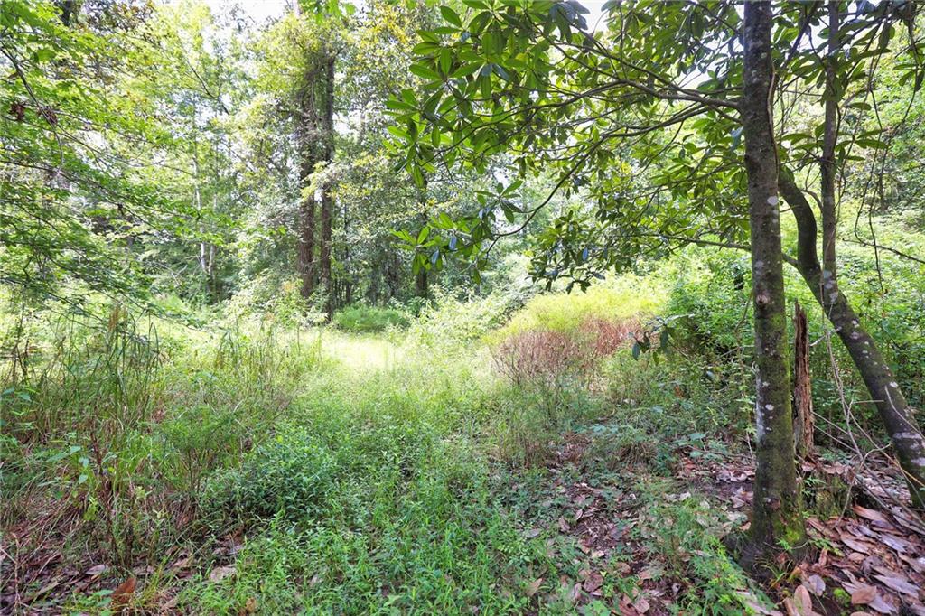 Folsom, Louisiana 70437, United States, ,Land,Pending,51574