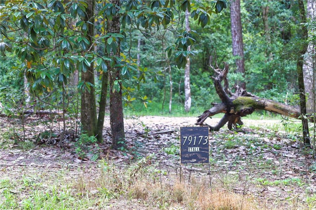 Folsom, Louisiana 70437, United States, ,Land,Pending,51574