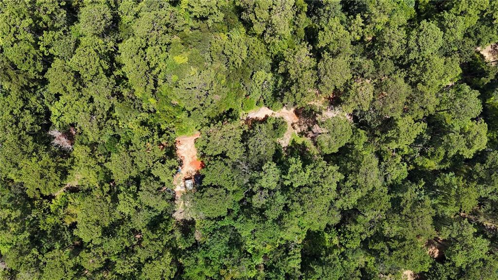 Folsom, Louisiana 70437, United States, ,Land,Pending,51574