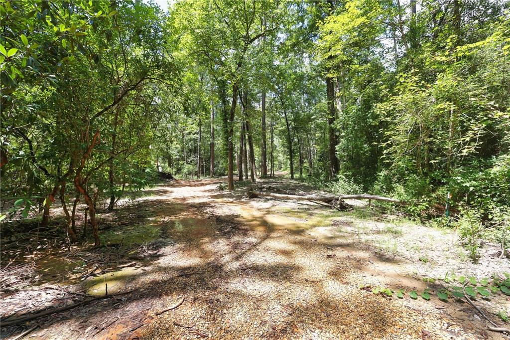 Folsom, Louisiana 70437, United States, ,Land,Pending,51574