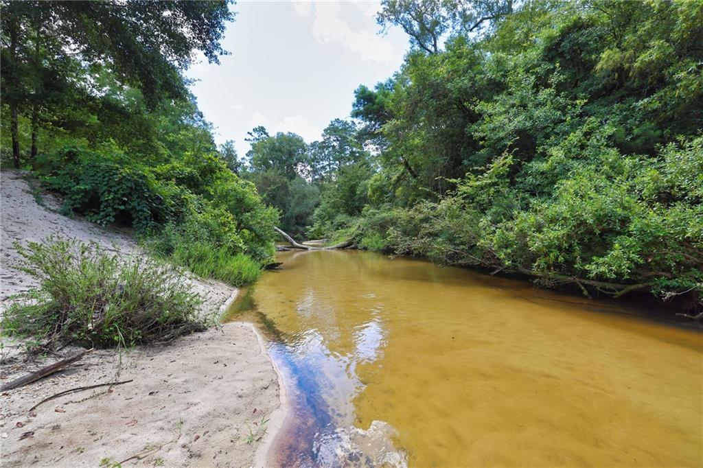 Folsom, Louisiana 70437, United States, ,Land,Pending,51574