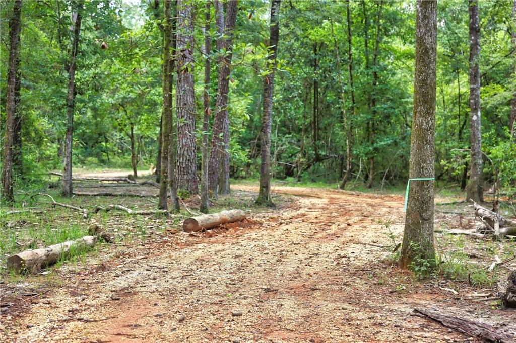 Folsom, Louisiana 70437, United States, ,Land,Pending,51574